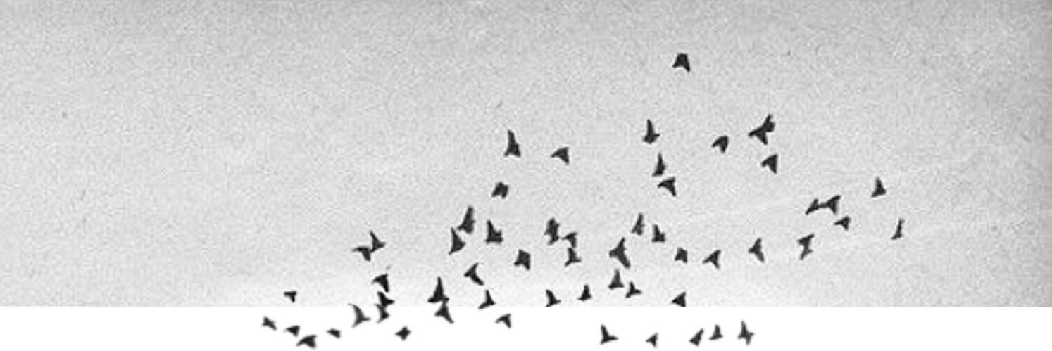 Efaay's profile banner image