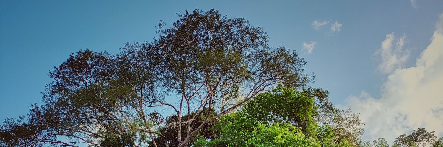 ronilsonsantos's profile banner image