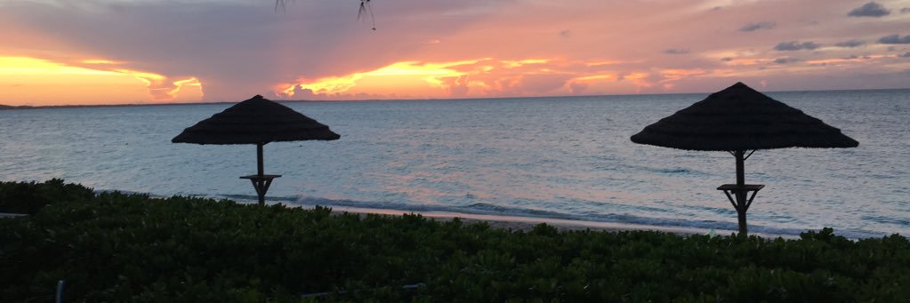 CSpano116's profile banner image