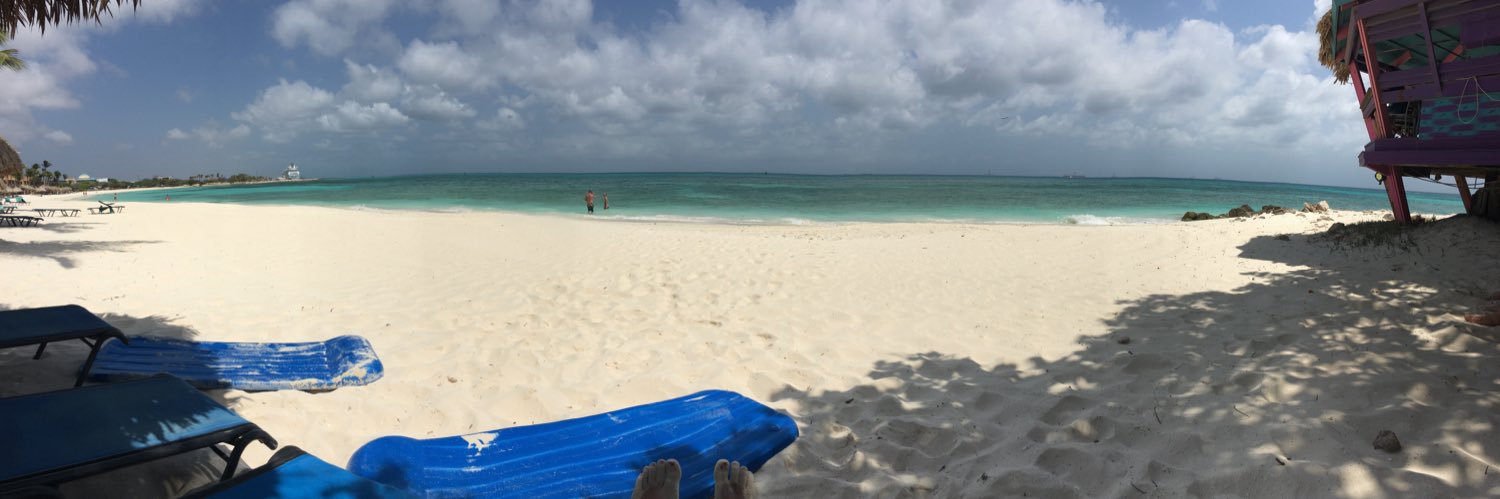 Andrei Harding banner