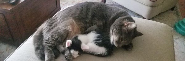 KenDeuel Profile Banner