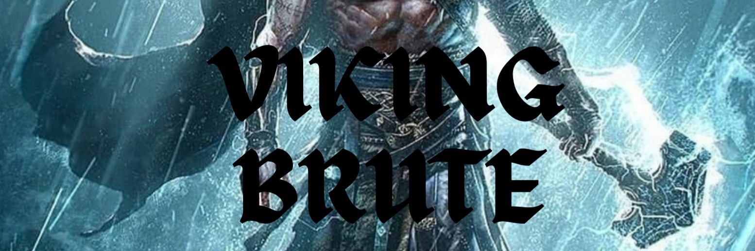 VikingBrute banner