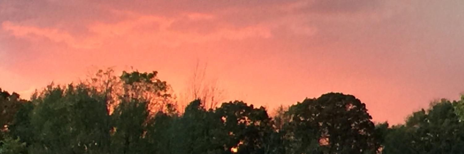 garrett7119's profile banner image