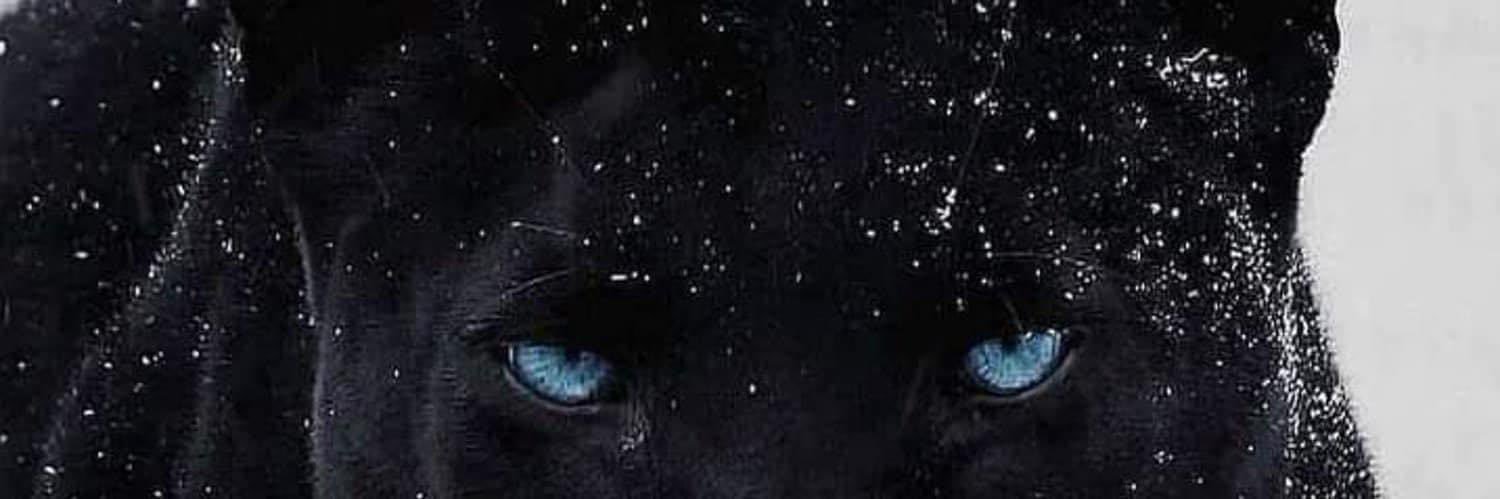 $h. banner