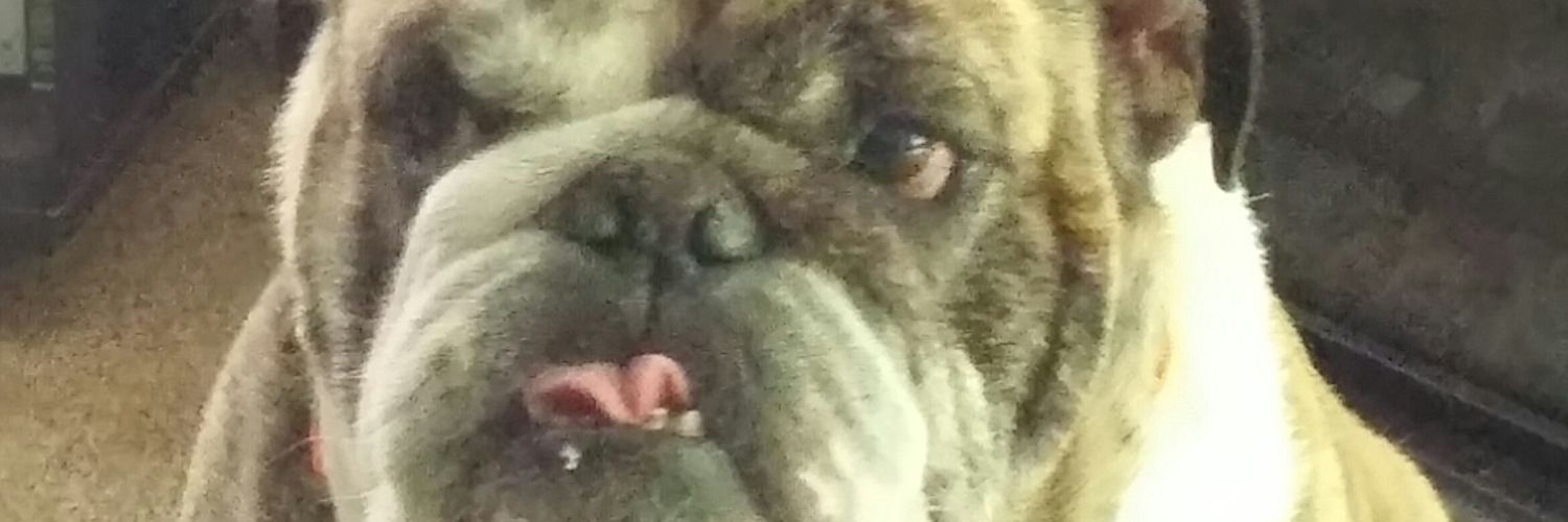 In J-Lo We Trust banner