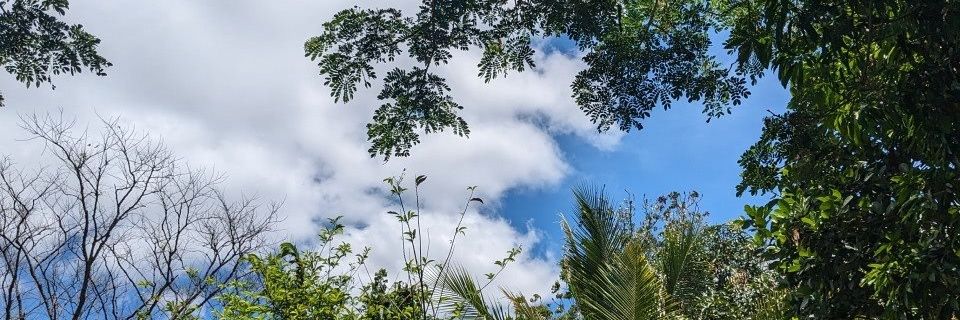 erabelsontop's profile banner image