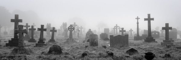 Aoife Sutton-Butler👩🏻‍🦰☠️ banner