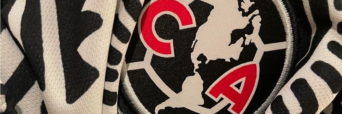 Toro Treviño banner