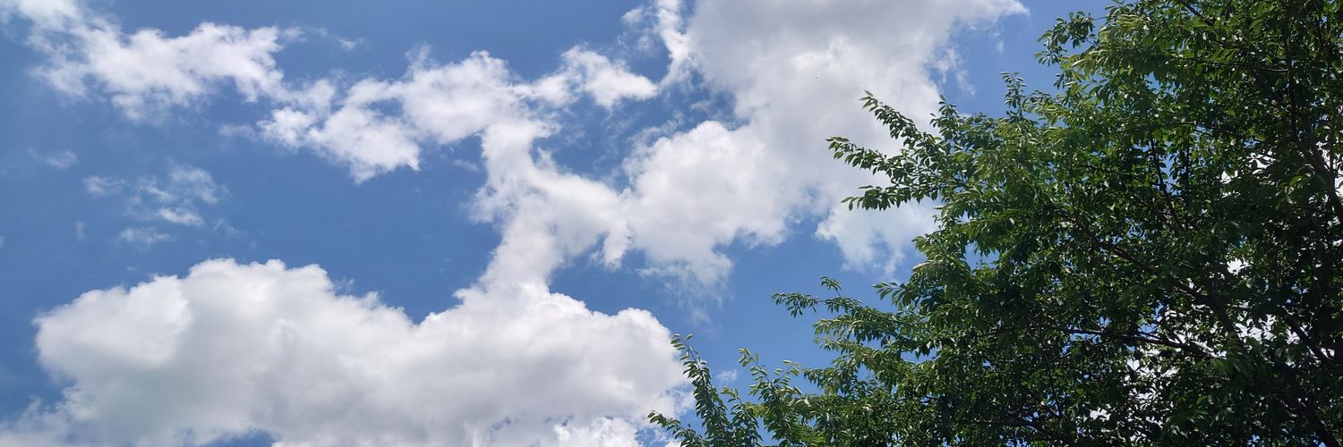 kazutr's profile banner image