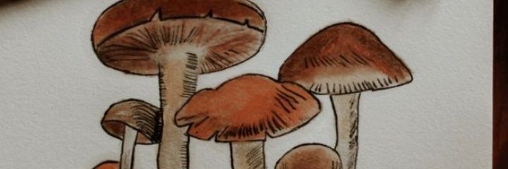 MaFerZap123's profile banner image