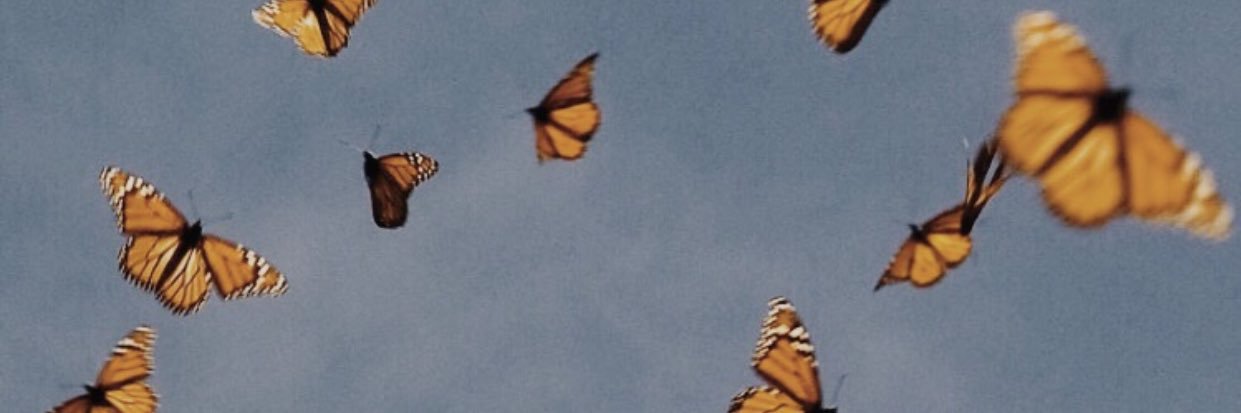 OBrienHannah05's profile banner image