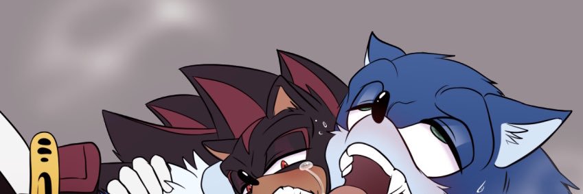 WerehogDaddy's profile banner image