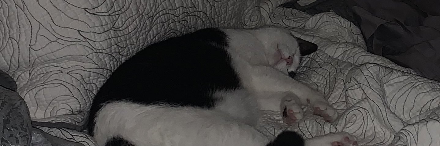 mama_spice_'s profile banner image