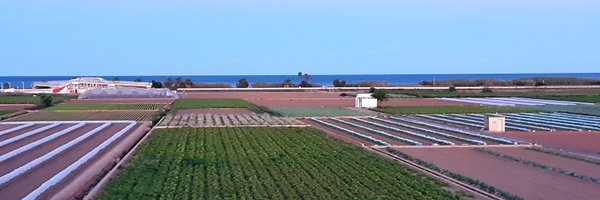 VicentBalanza Profile Banner