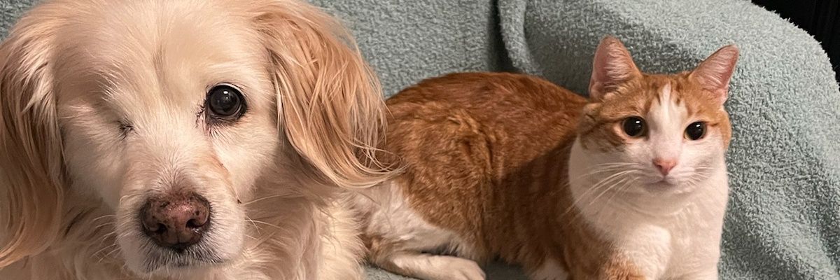JesseJamesComic's profile banner image