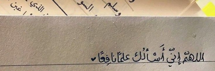 صـالِحة 𐙚 banner