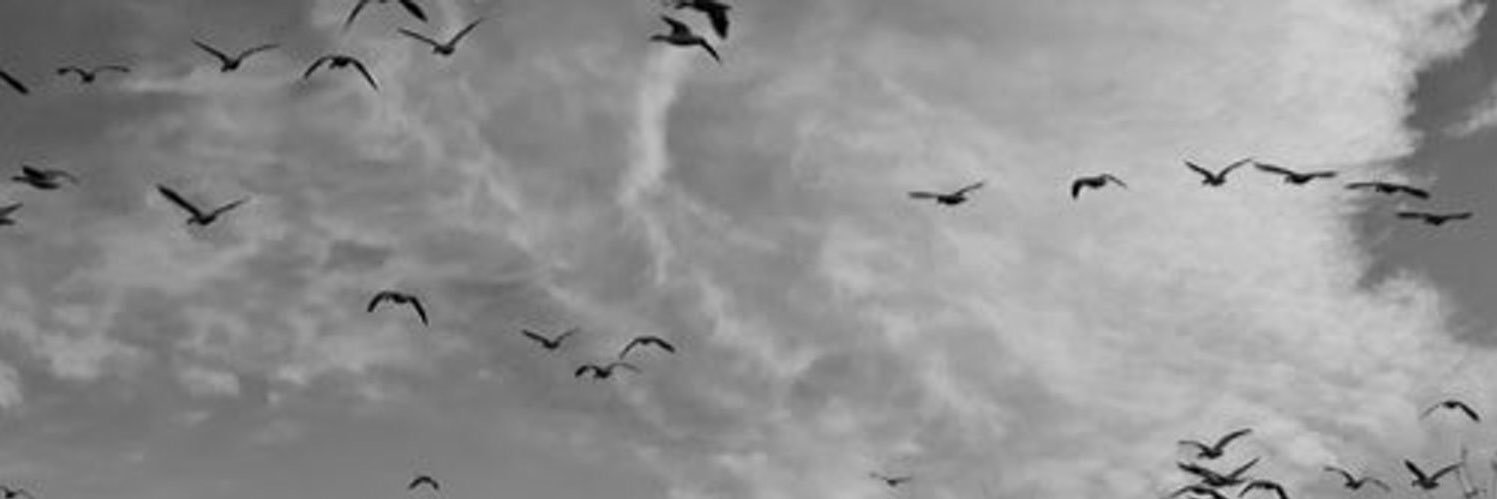 شهرت banner