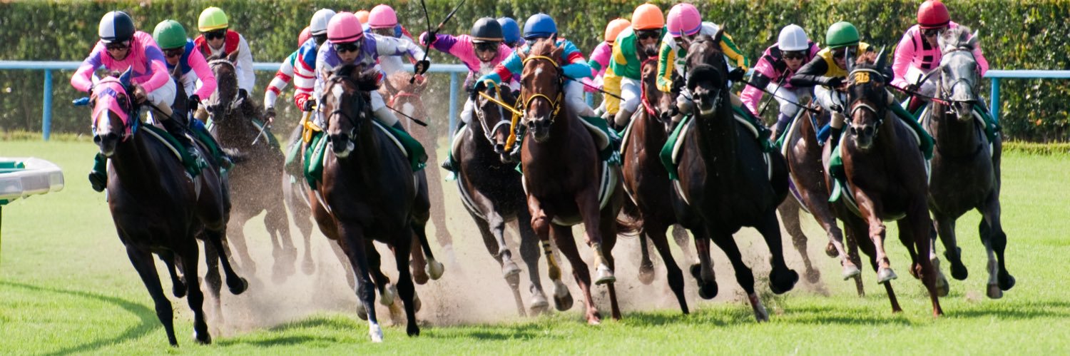 とある馬券ファンな☆ジ☆ュ☆ン☆JJ🏇 banner