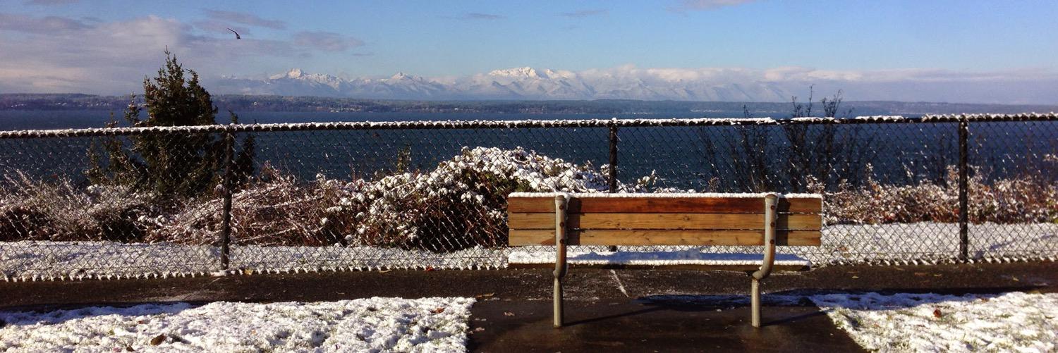 NDSeattle's profile banner image