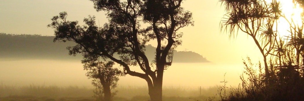 WCWade (Bill Wade) banner