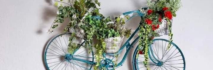 🦧 FIONA🍄 banner