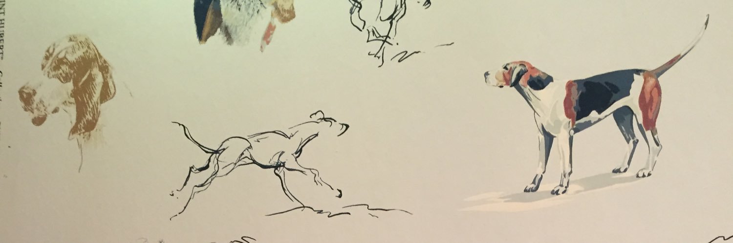 DKedash's profile banner image