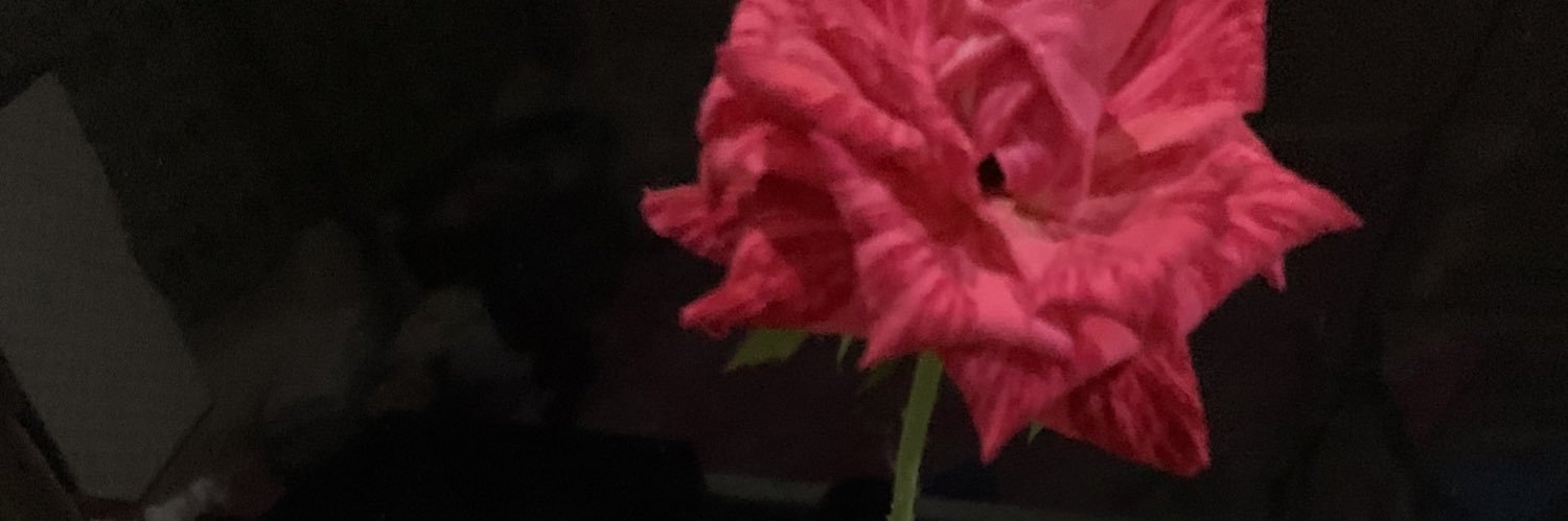 wtrmelonw_anxty's profile banner image