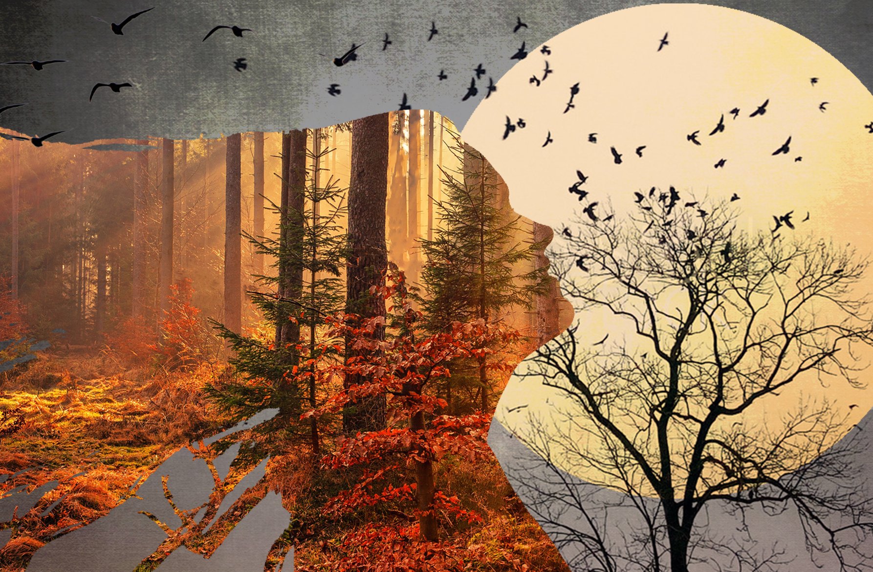 AlexandraVOrtiz's profile banner image