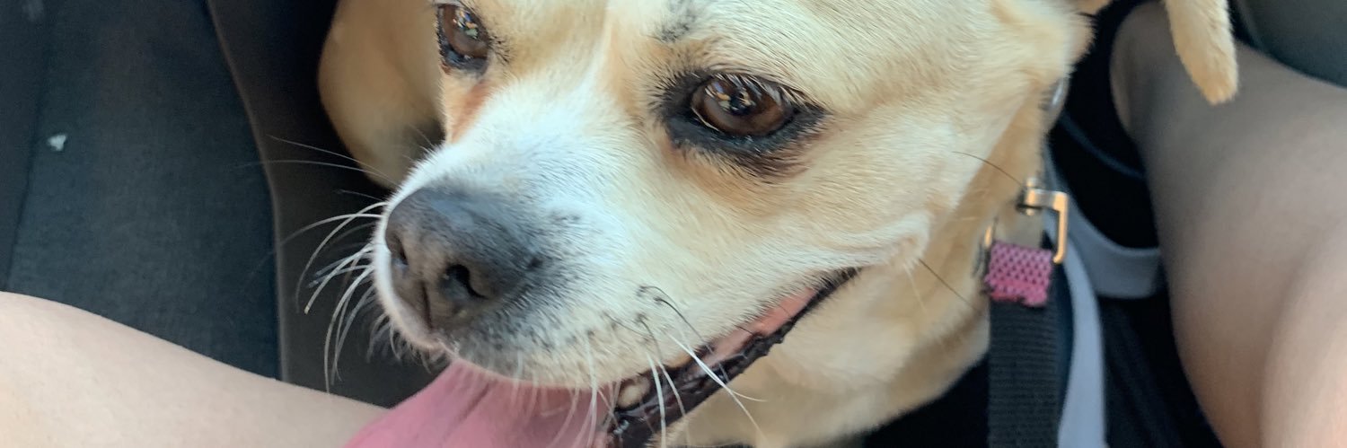 rosevangg's profile banner image