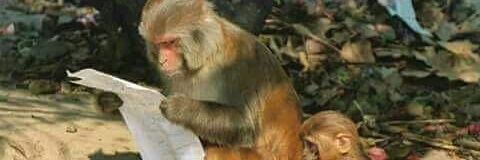 SamtaIndrajeet's profile banner image