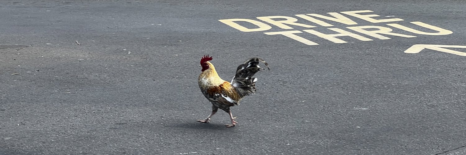 Sussy Matt ⚔️ banner