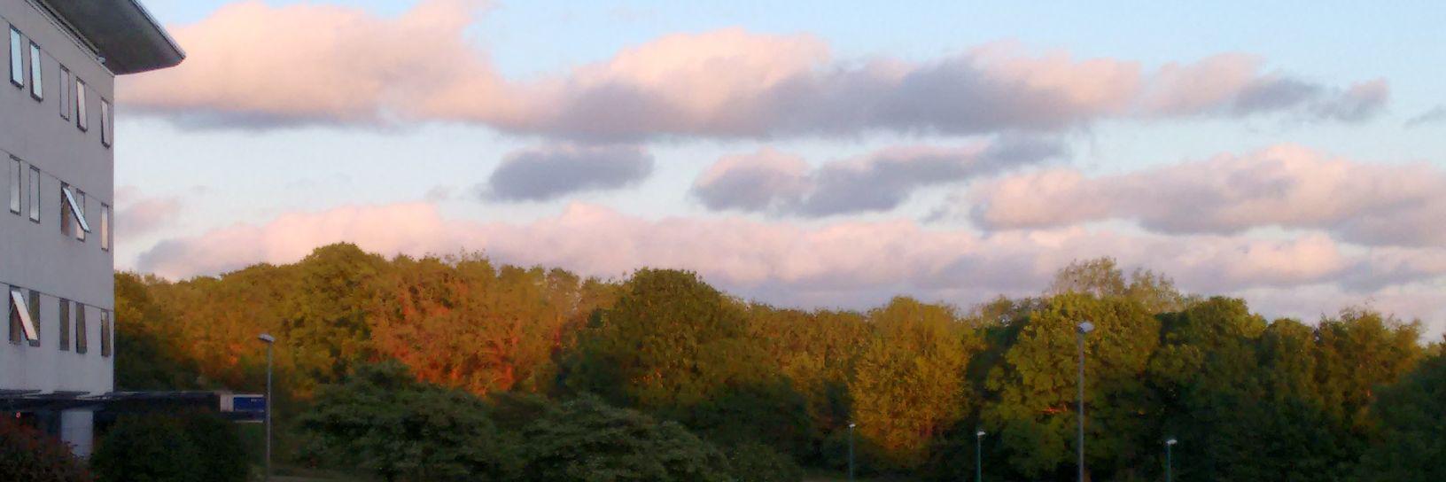 Prathigna Poonacha banner