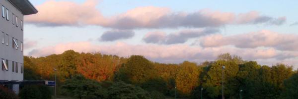 pprathigna Profile Banner