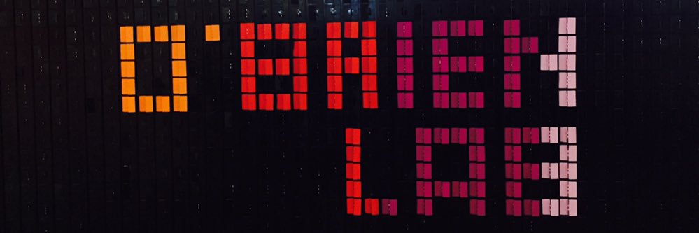 Jose O'Brien banner