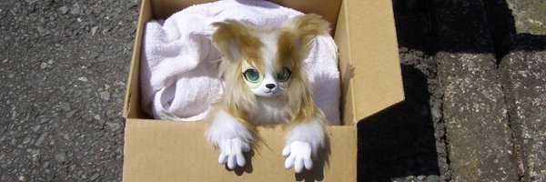 BureidoKedamono Profile Banner