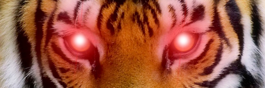 cryptotyga_'s profile banner image