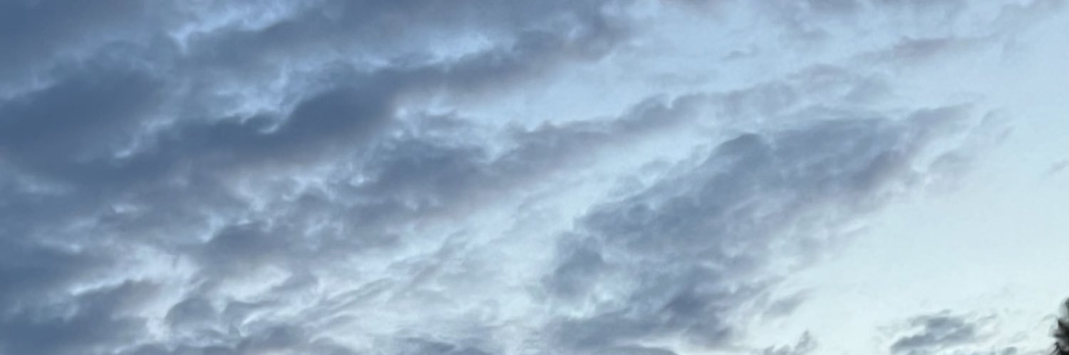 PeytonWeissmann's profile banner image