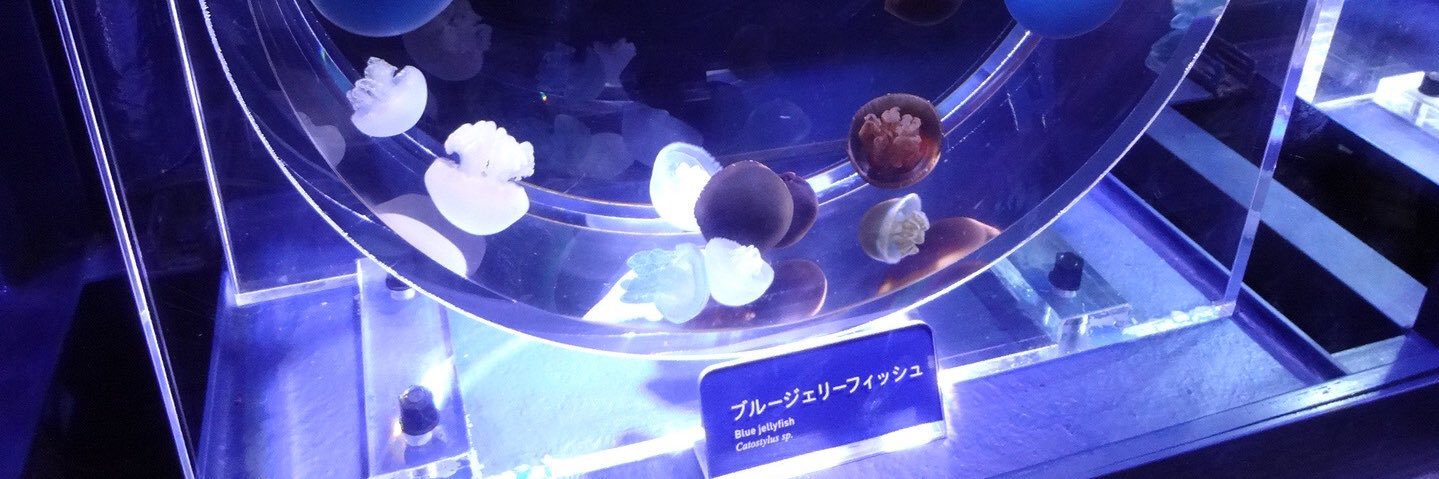 michan282828's profile banner image