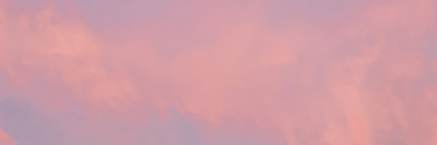 lydiafeb's profile banner image