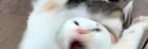 จะไปหาพ่อที่คอนบังทัน banner