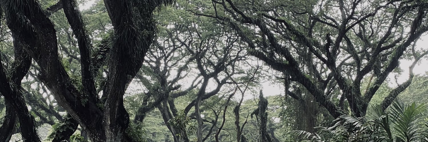 𝐜𝐚𝐜𝐢𝐧𝐠 banner