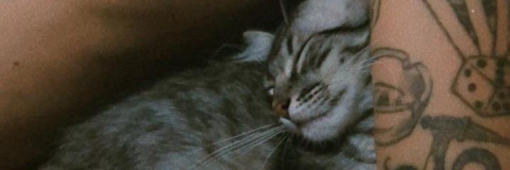 lcsbmk's profile banner image