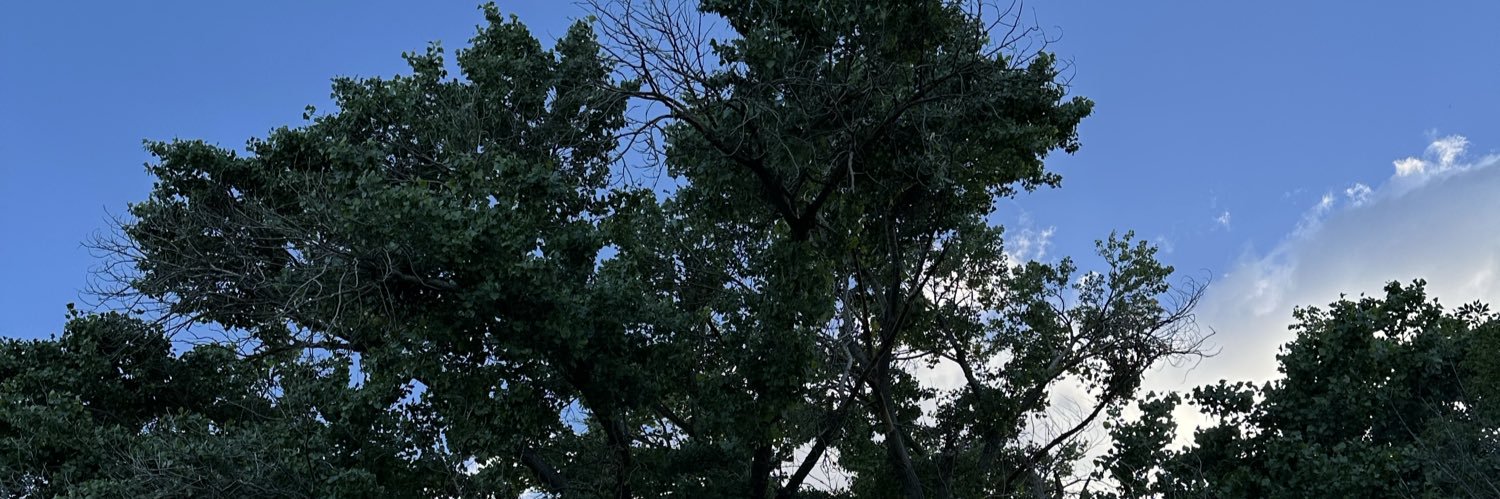 _meliegv's profile banner image