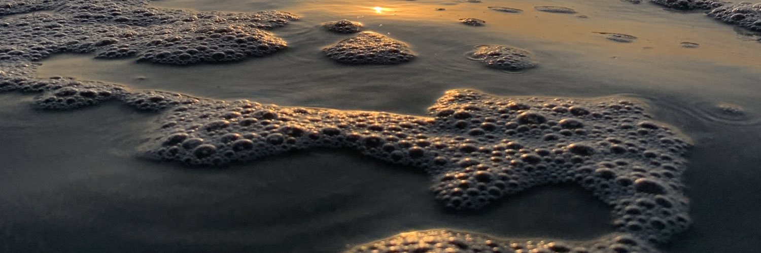 the_kiwicoder's profile banner image