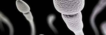 bgd_eR's profile banner image