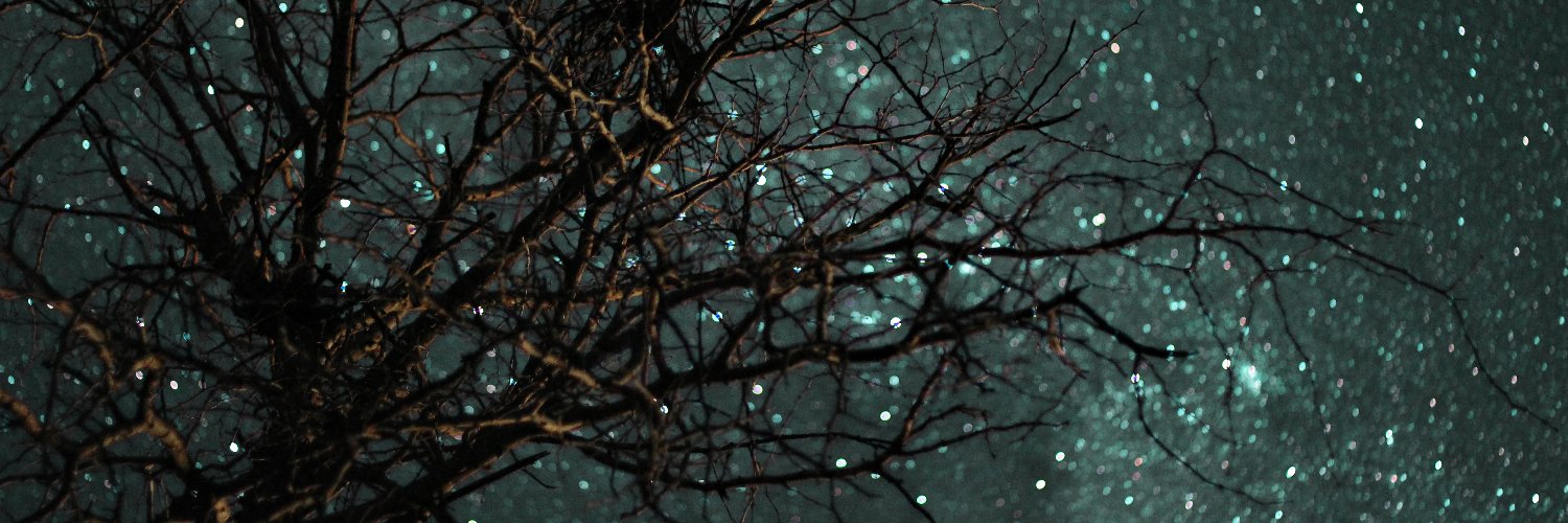 JancoBotes_'s profile banner image