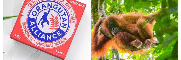 orangutanallnce Profile Banner