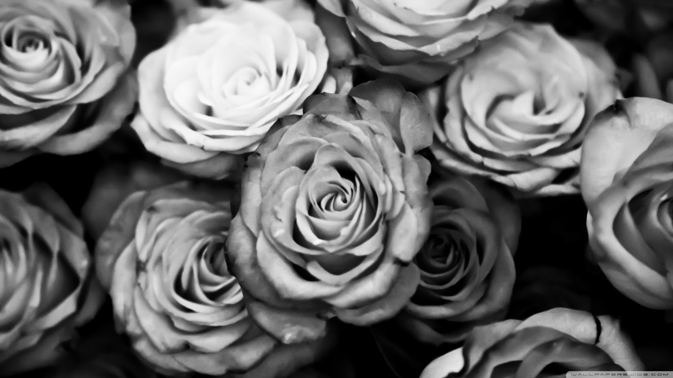 _JWillie's profile banner image