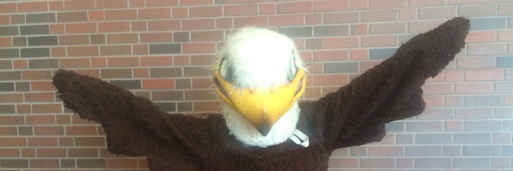 Aurora_Eagles's profile banner image