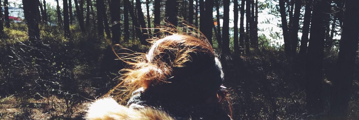 nindyamonica's profile banner image